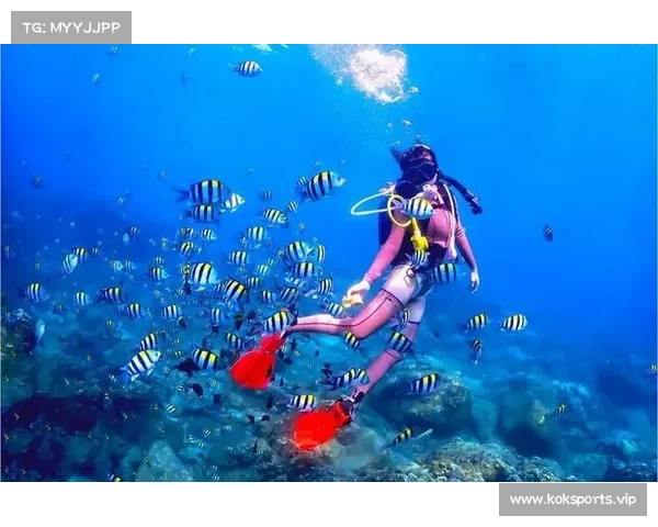 蜈支洲岛白色分体潜水服抢购难度揭秘为何成为游客争相抢夺的热销商品 蜈支洲岛白色分体潜水服抢购难度揭秘为何成为游客争相抢夺的热销商品